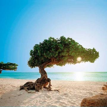 Oranjestad